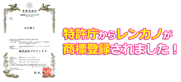 �Z�{�؃����^���ޏ����������z