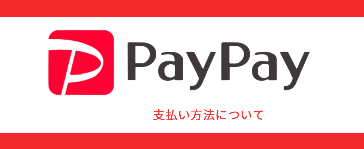 PayPay�����p�\